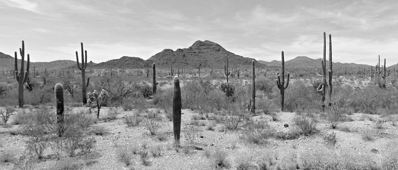 Photobook Review: Dead End by Nicola Moscelli