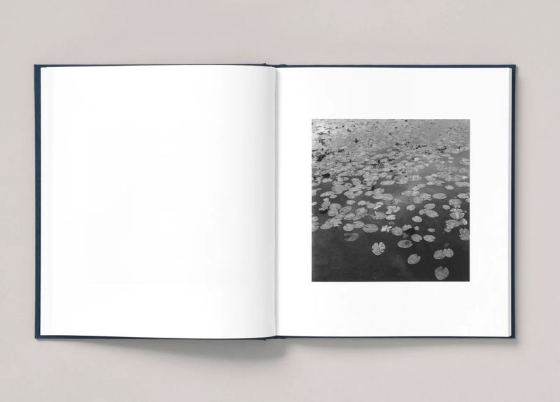 Photobook Review: Riverland by Marjolein Martinot