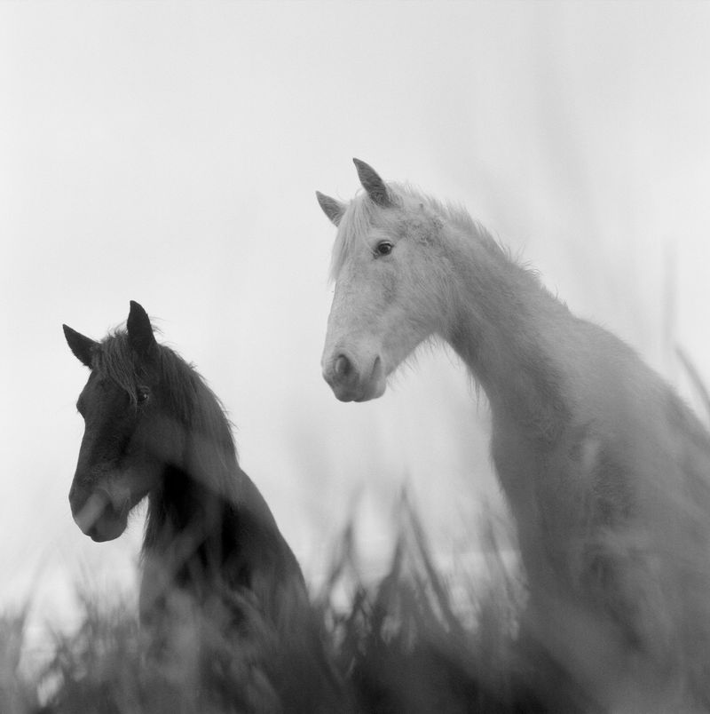 Photobook Review: Riverland by Marjolein Martinot