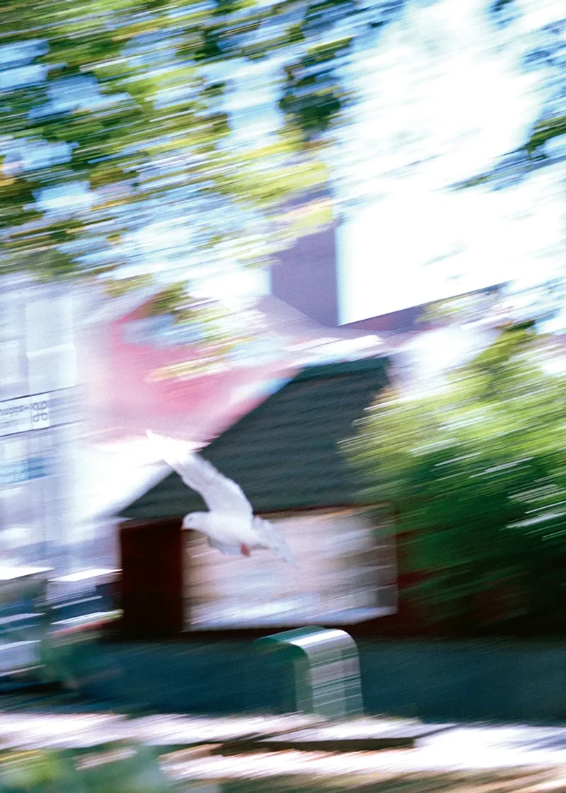 Photobook Review: Frida Forever by Frida Lisa Carstensen Jersø