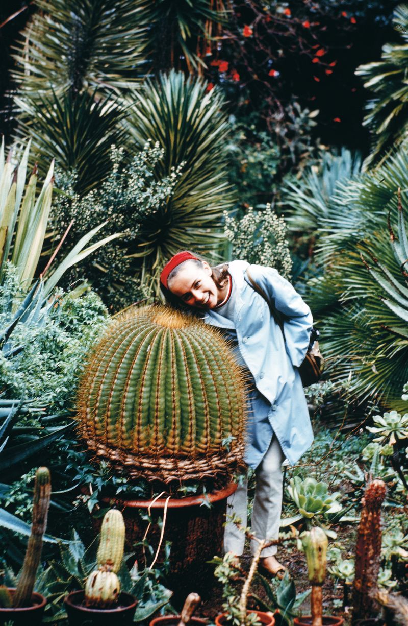 Photobook Review: The Mothers I Might Have Had by Caroline Furneaux