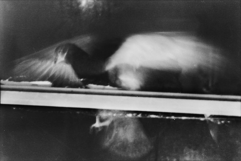 Photobook Review: PÂLE by Gabrielle Duplantier