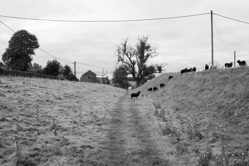 Photobook Review: The Killing Ditch by Damien Wootten
