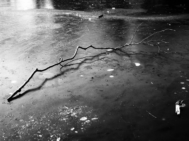 Photobook Review: Juno by Louise Honee
