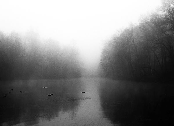 Photobook Review: Juno by Louise Honee