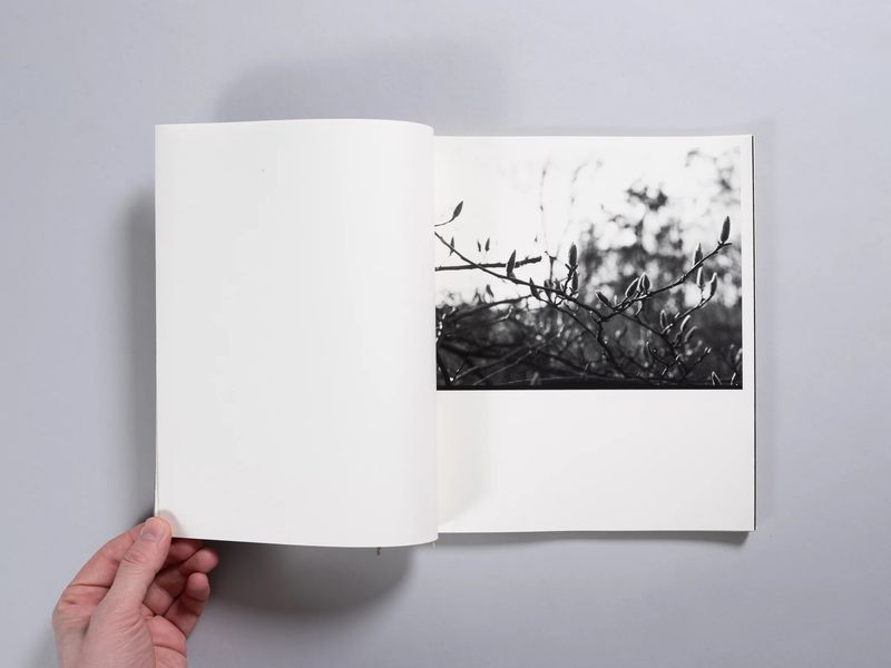 Photobook Review: Juno by Louise Honee