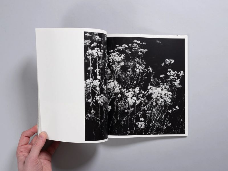 Photobook Review: Juno by Louise Honee