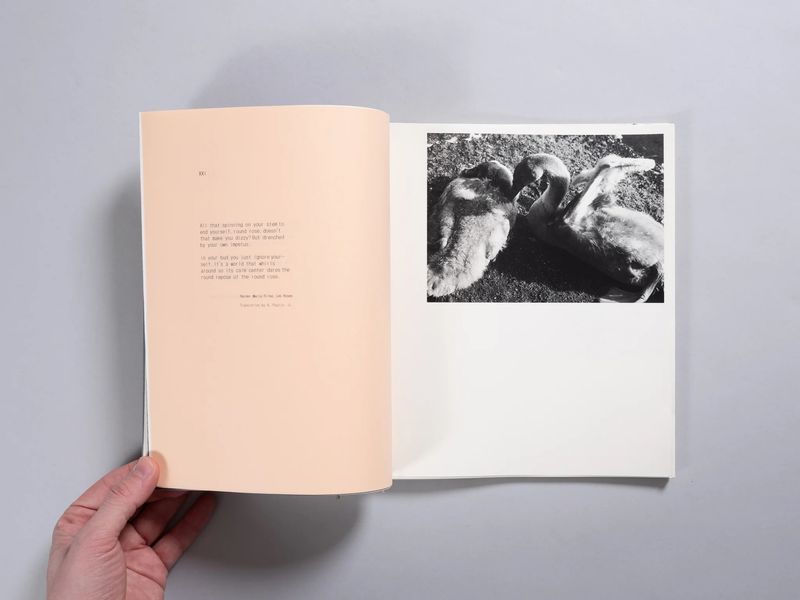 Photobook Review: Juno by Louise Honee
