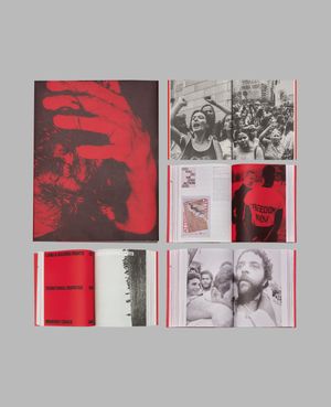 Photobook Review: Flashpoint! edited by Russet Lederman and Olga Yatskevich