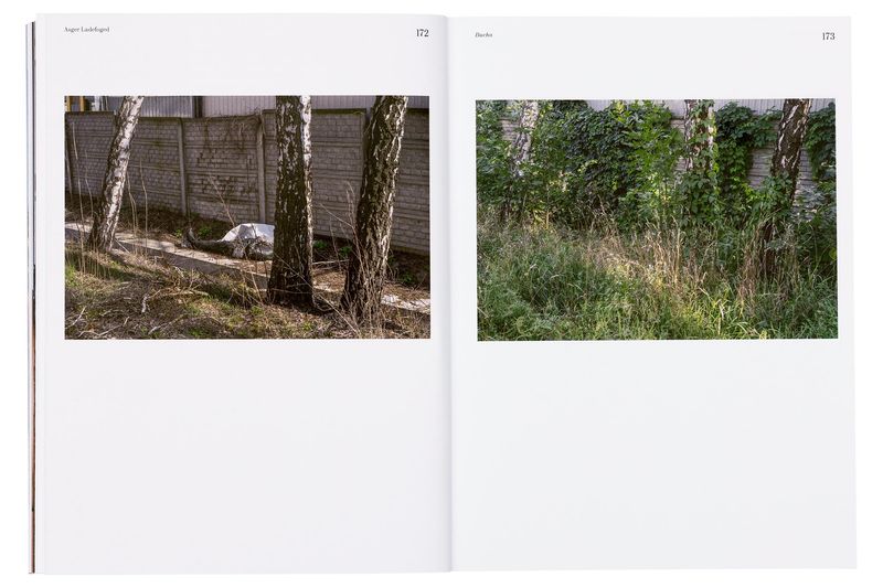 Photobook Review: New Danish Photography