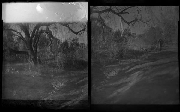 Songlines: Tracking the Seven Sisters