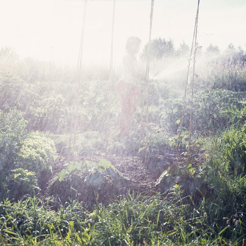 © Colin Pantall - I always wonder what might havebeen if we hadn’t had a child.Parents always wonder whatmight have been.