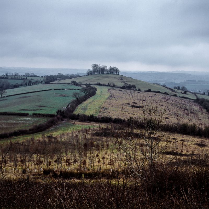 © Colin Pantall - Image from the All Quiet on the home front photography project