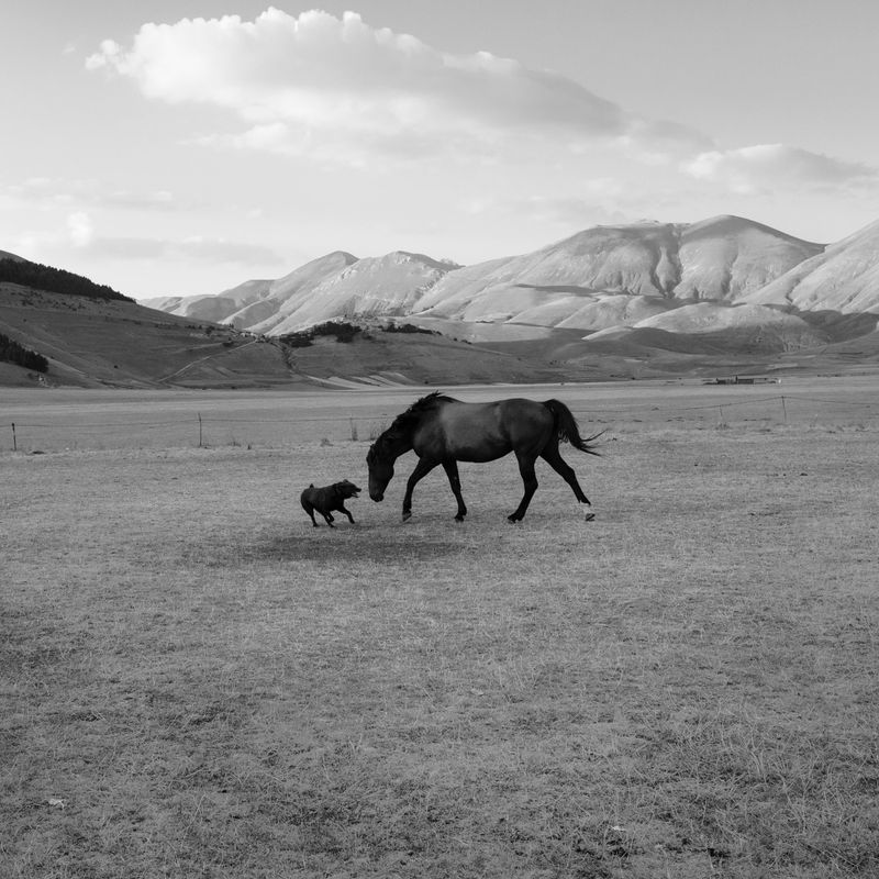 © Giovanni De Mojana - Image from the Segni photography project