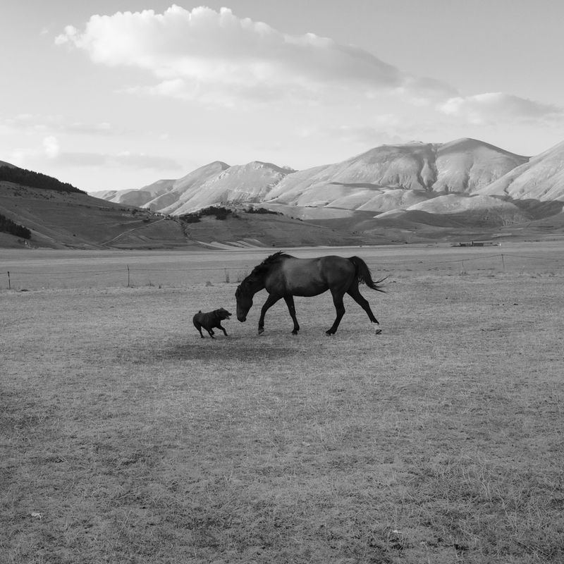 © Giovanni De Mojana - Image from the Segni photography project