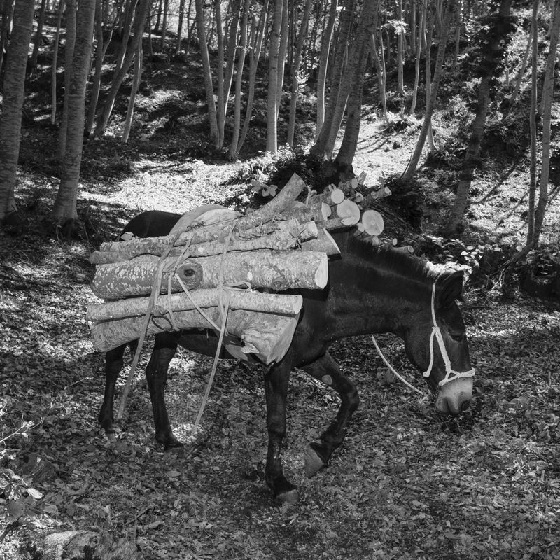 © Giovanni De Mojana - Image from the Segni photography project