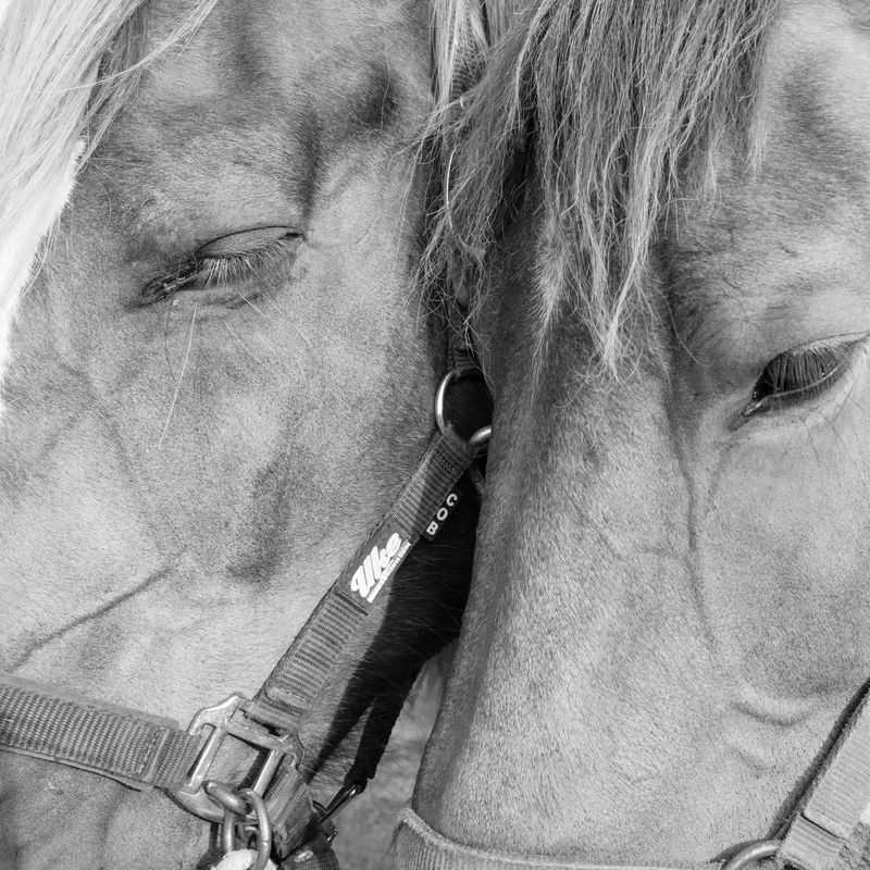 © Giovanni De Mojana - Image from the Segni photography project