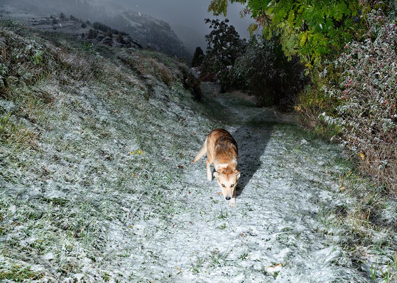 © Giovanni De Mojana - Image from the Saint-Barthélemy photography project