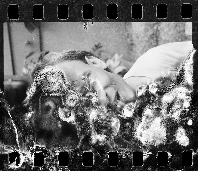 © Lynne Breitfeller - Image from the After the Fire: Water Damaged photography project