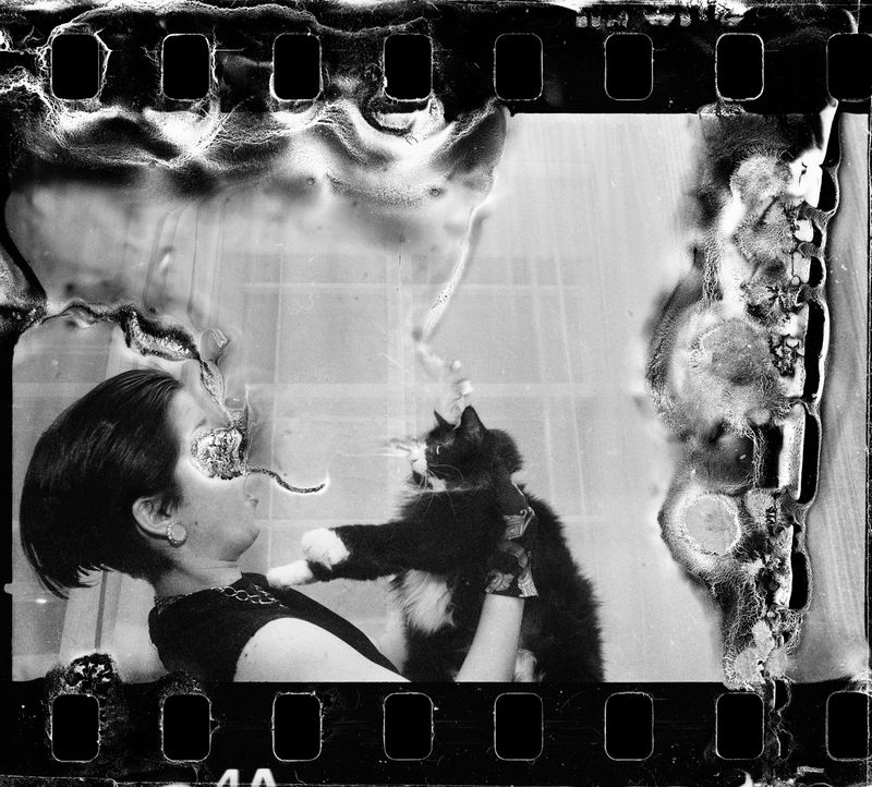 © Lynne Breitfeller - Image from the After the Fire: Water Damaged photography project