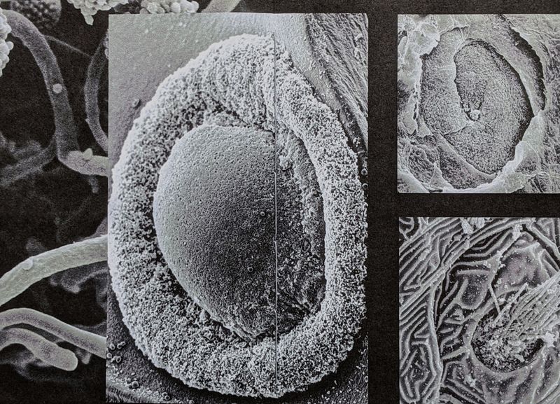 © Tomasz Laczny - Image from the End Time photography project