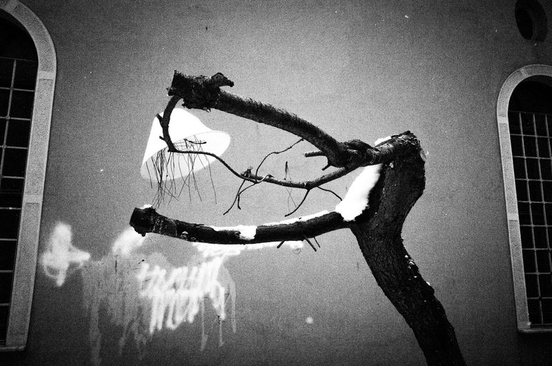 © Tomasz Laczny - Image from the DISAPPEARANCE  photography project