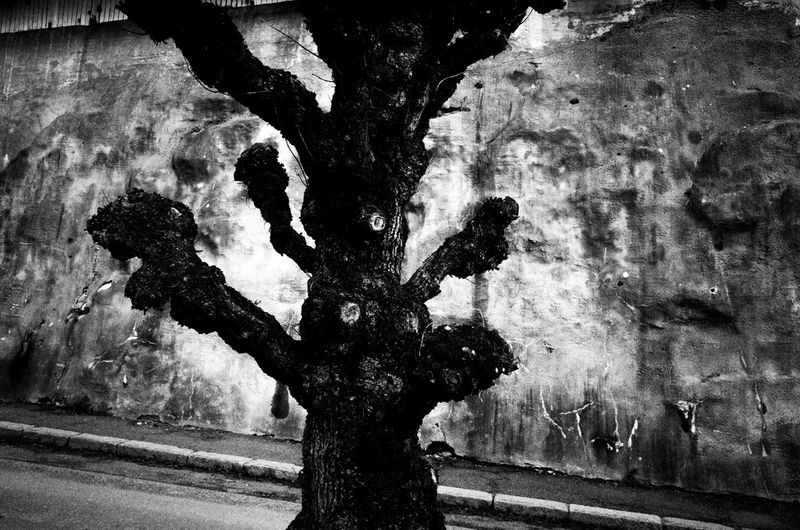 © Tomasz Laczny - Image from the DISAPPEARANCE  photography project