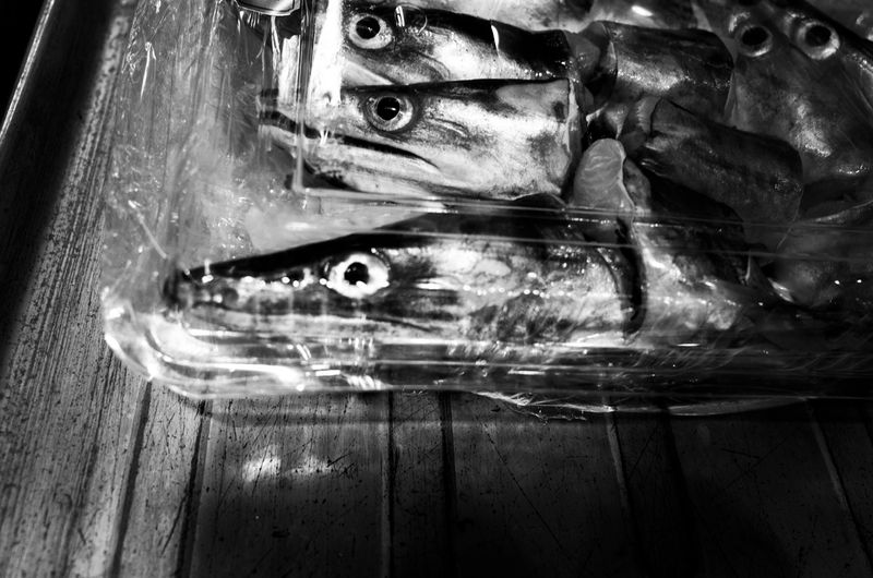 © Tomasz Laczny - Image from the DISAPPEARANCE  photography project