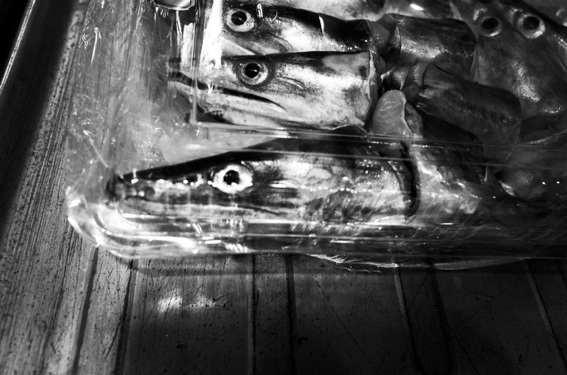 © Tomasz Laczny - Image from the DISAPPEARANCE  photography project