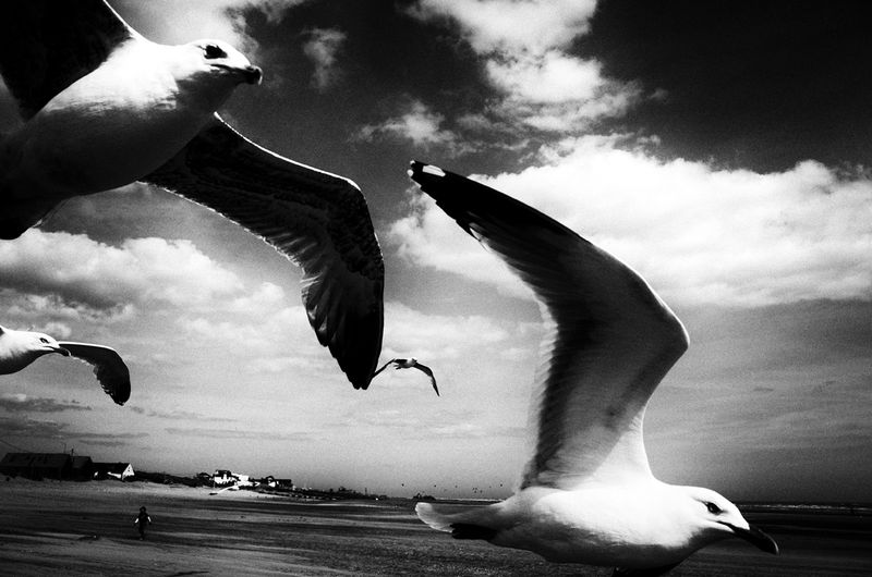 © Tomasz Laczny - Image from the DISAPPEARANCE  photography project