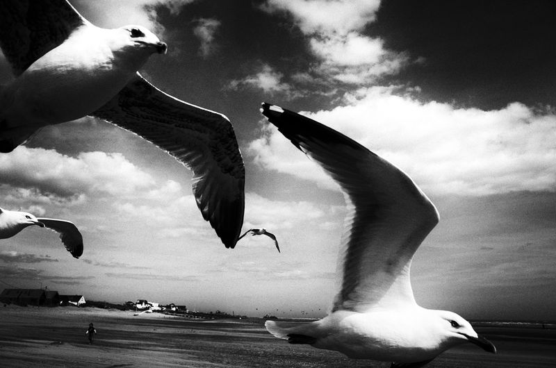 © Tomasz Laczny - Image from the DISAPPEARANCE  photography project
