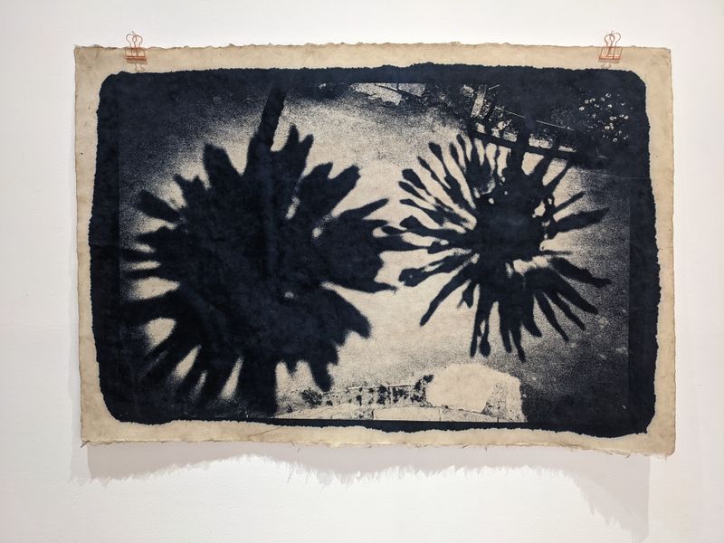 © Tomasz Laczny - Large format cyanotape (tonned in coffe) printed on handmade japanese kozo paper 96x69cm