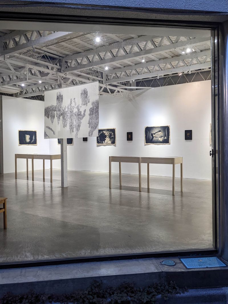 © Tomasz Laczny - exhibition installation shot