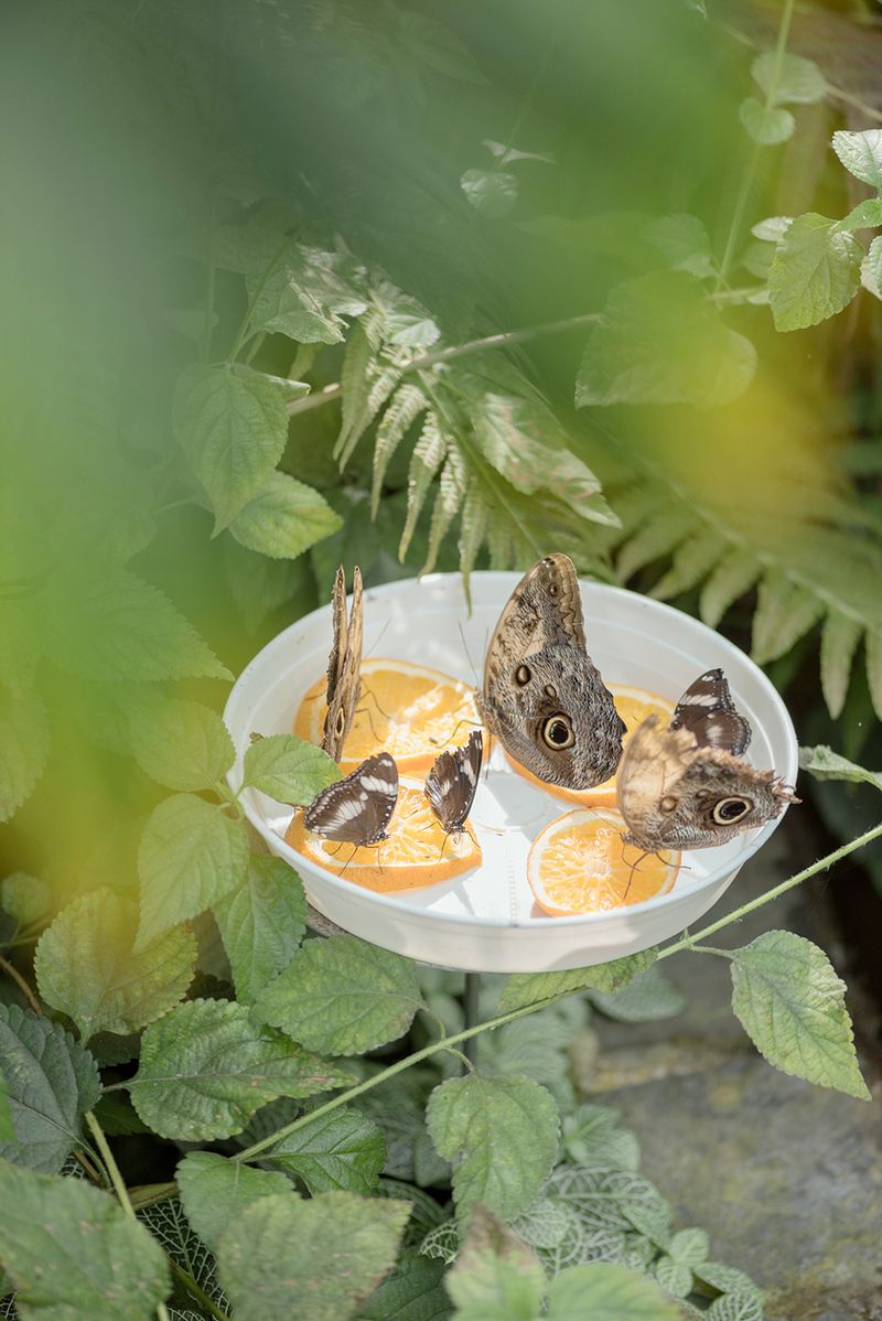 © Martina Zanin - Image from the I Made Them Run Away photography project