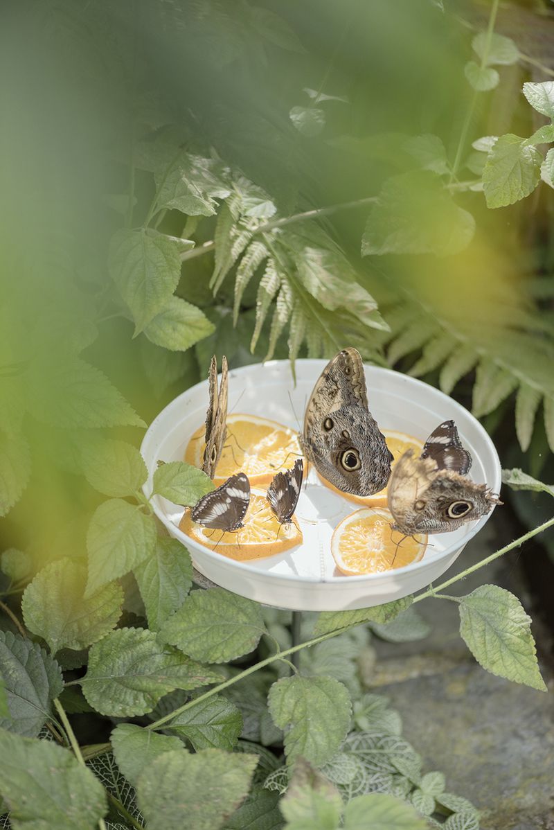 © Martina Zanin - Image from the I Made Them Run Away photography project