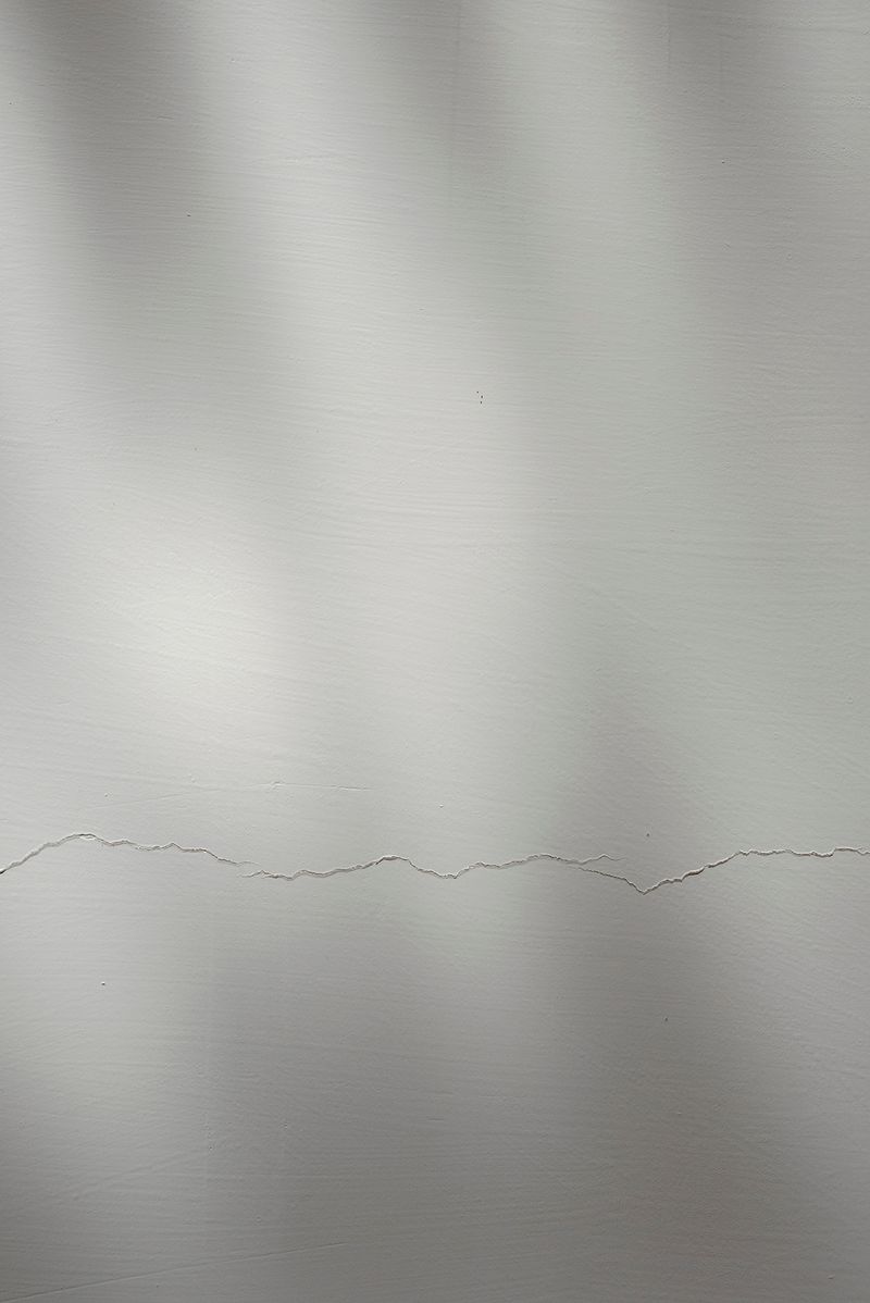 © Martina Zanin - Image from the I Made Them Run Away photography project