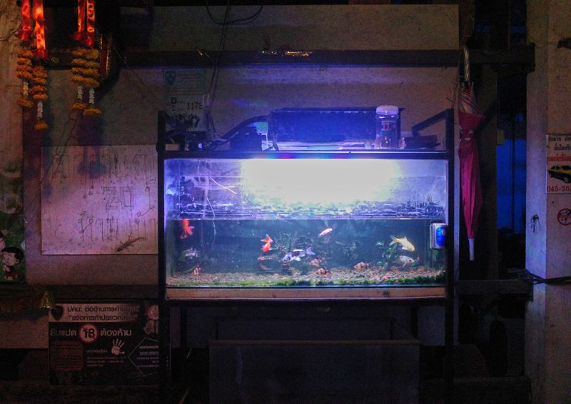 © JANUSZ DAGA - Image from the The Secret Border. photography project