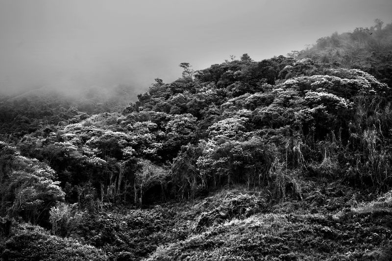 © Fabio Cuttica - Image from the Wounded Land.   photography project