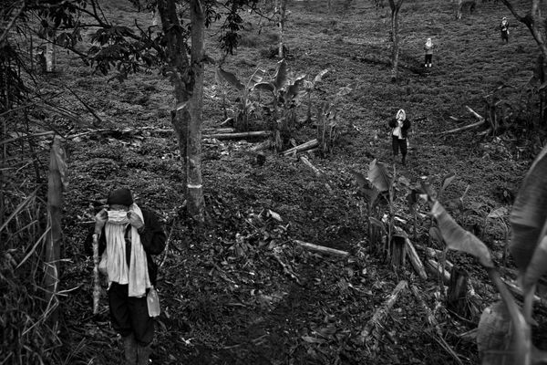 © Fabio Cuttica - Image from the Wounded Land.   photography project
