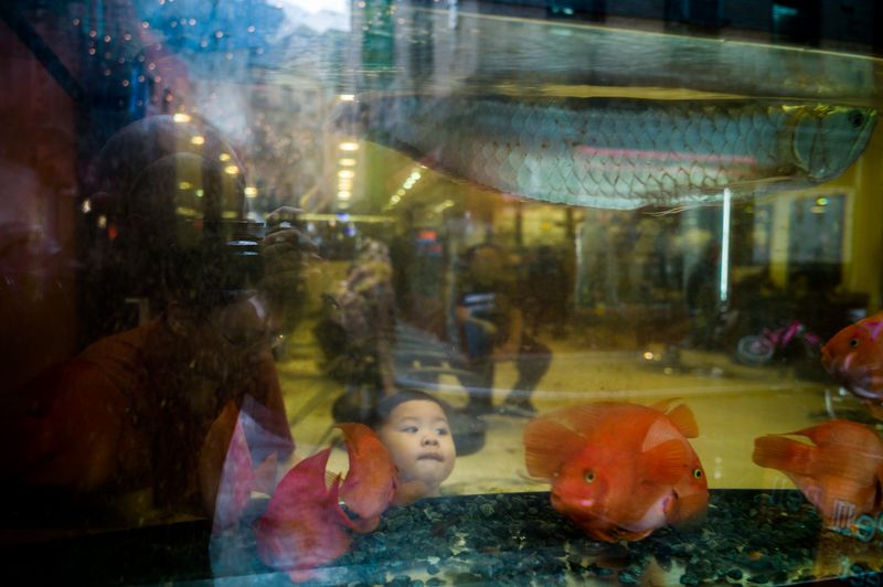 © Dimitri Mellos - Image from the Nostalgia Foretold photography project