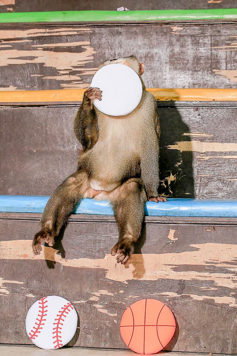 © Makoto Oono - Image from the Contrast A photography project