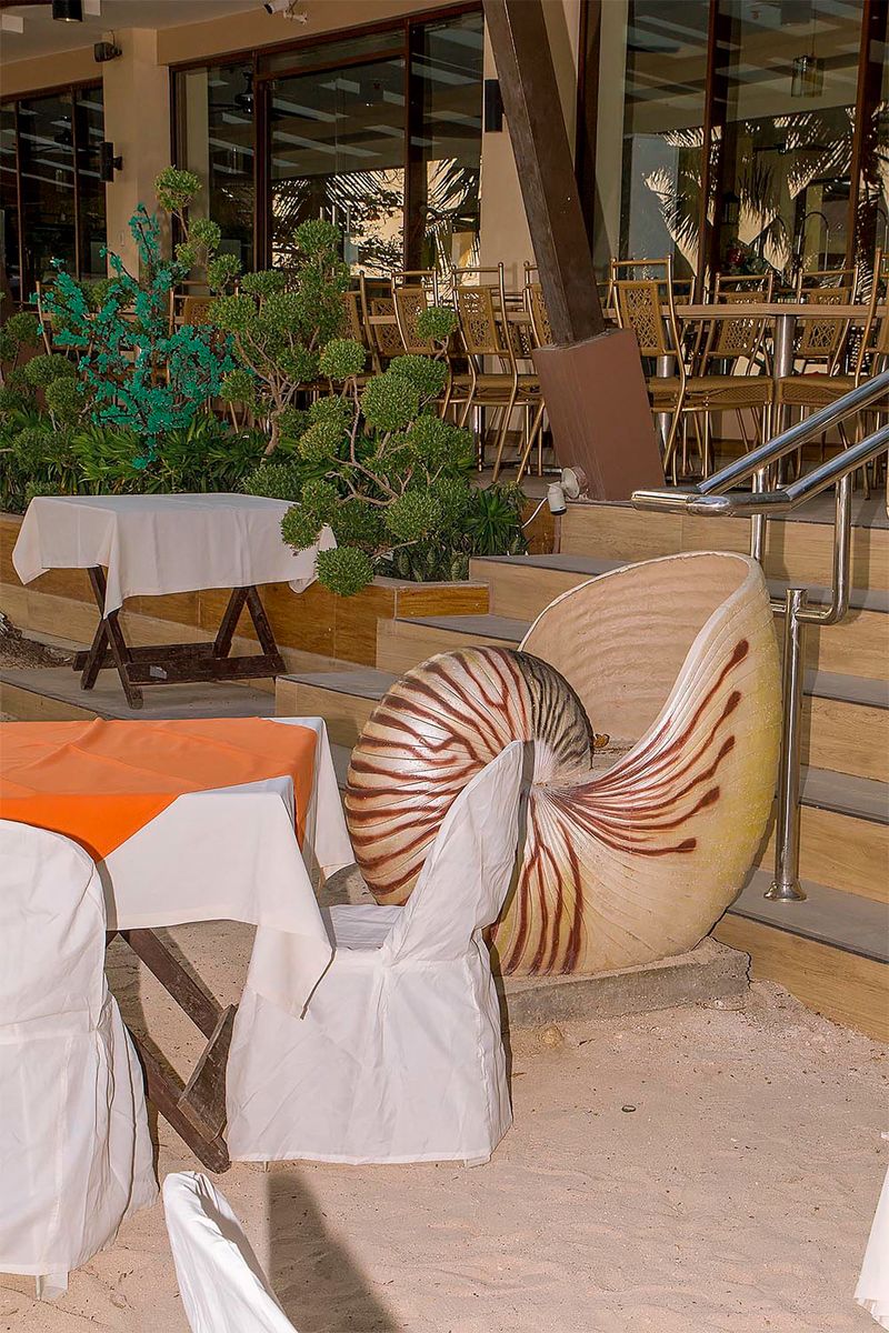 © Makoto Oono - Image from the Contrast A photography project