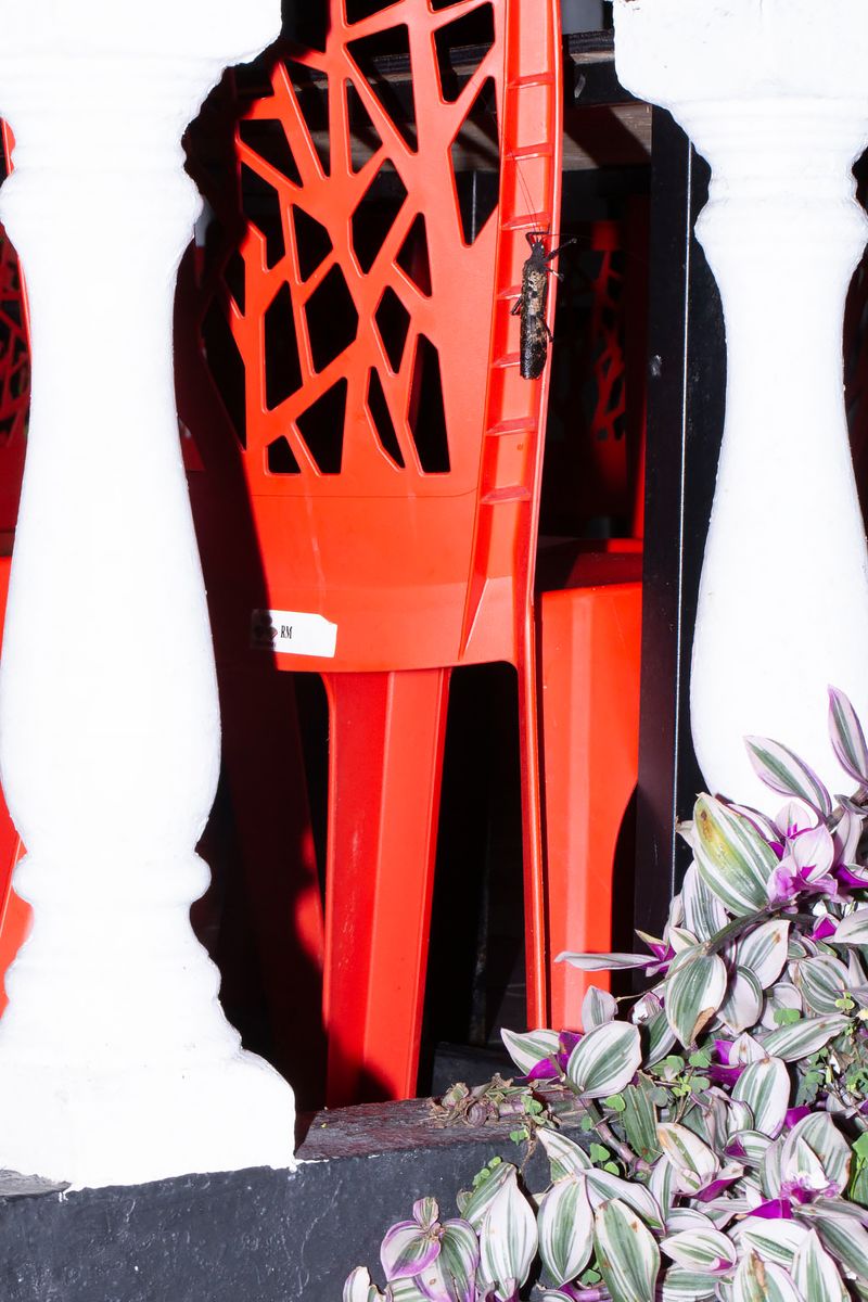 © Makoto Oono - Image from the Contrast A photography project