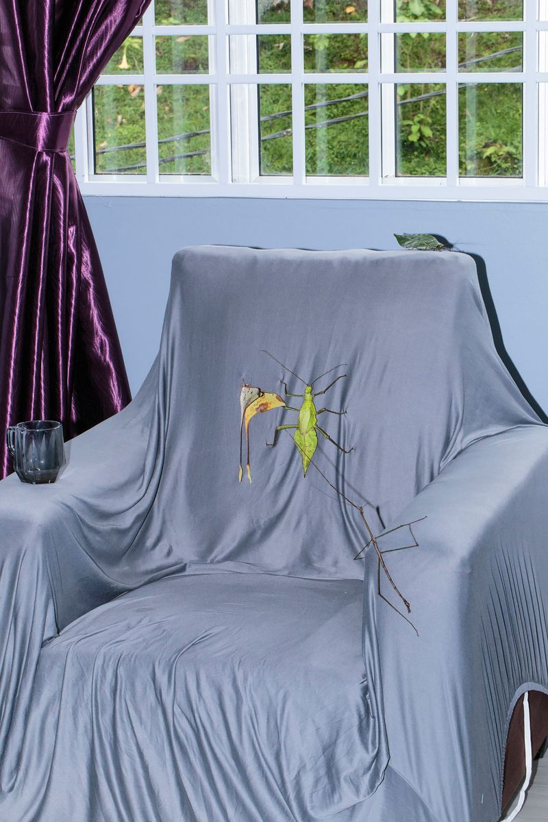 © Makoto Oono - Image from the Contrast A photography project