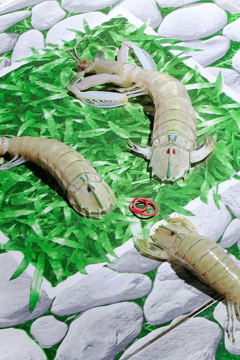 © Makoto Oono - Image from the Contrast A photography project