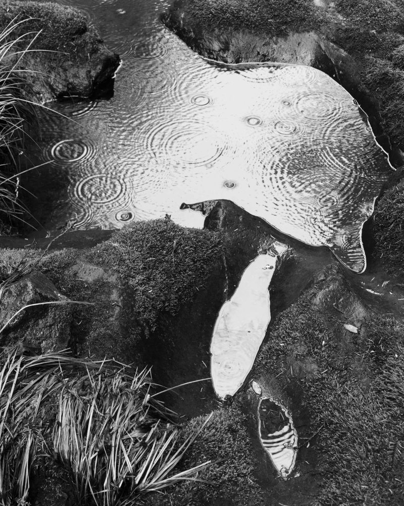 © Russ Thompson - Image from the A Wilderness photography project