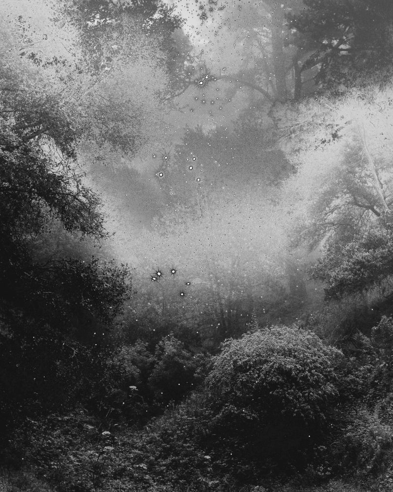 © Russ Thompson - Image from the A Wilderness photography project