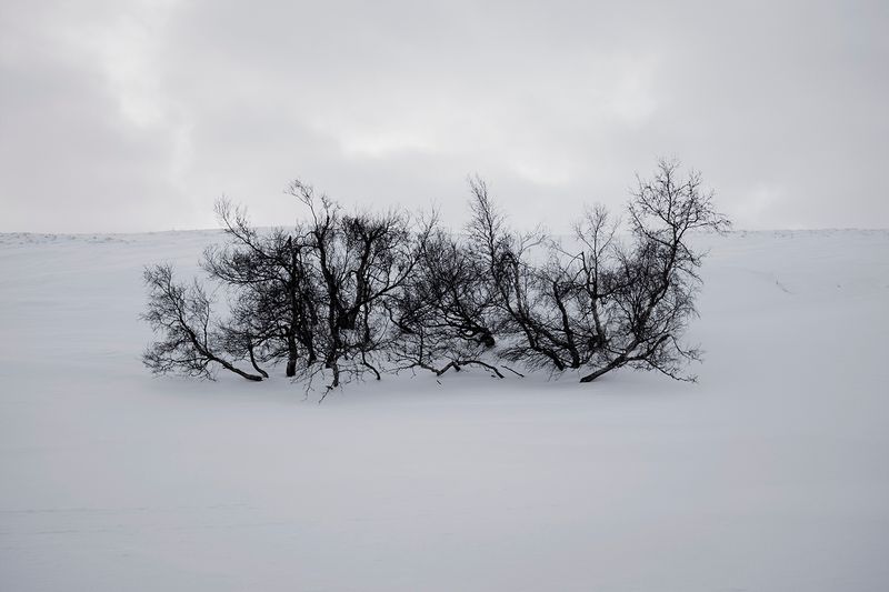 © Marie Mons - Image from the Aurore Colbert photography project