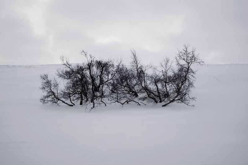 © Marie Mons - Image from the Aurore Colbert photography project