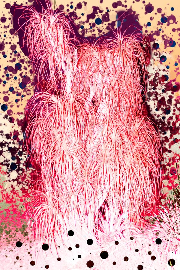 © yunhua zhang - Flamingo